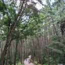 몰운대 등산로 입구 이미지