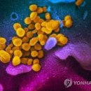 3초 연구소 이미지