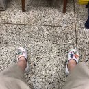 유남회센타 이미지