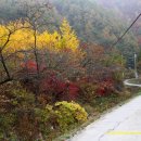 신호목장 이미지