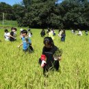 능실초등학교 이미지