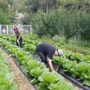 래그랜느보호작업장 이미지