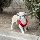 이윤권양한방동물병원 이미지