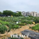 왕곡농장 이미지