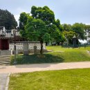 대선 날의 斷想 (부용산-수락산-불암산) 이미지