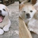 멍스타그램 이미지