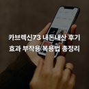 73 | 카브렉신73 내돈내산 후기 효과 부작용 복용법 총정리