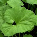 다래한의원 이미지