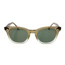 비전옵티칼 이미지