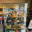 커피(coffee)란 | 커피에 진심인 카페 피오커피 로스터스 PO COFFEE ROASTERS, 아나에어로빅에 대한 솔직후기. 늦은 밤...