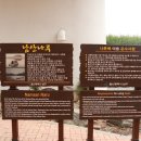 태화교통 Daum카페