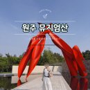 제임스 | [원주여행 코스1] 뮤지엄산 후기, 제임스 터렐관 꼭 가세요