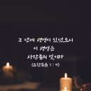 [NIV MDS 8-04-3] 요한복음 1장 4절 이미지