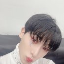 Wilted 이미지