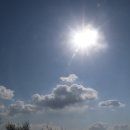 김태희의팜스쿠키 이미지