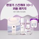 영 에이전시 이미지