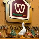 와우리장작구이 동탄점 | 동탄능동 와우리장작구이동탄점 오리고기 맛집 방문후기