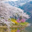 호암미술관 이미지