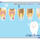 서울안지연치과교정과치과의원 이미지