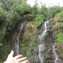 하르딘(Jardin) 이미지