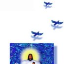 더트리니티(주) 이미지