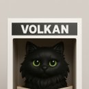 범과같이 이미지