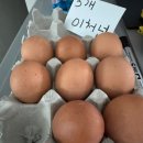 포천포차 이미지