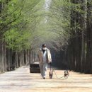 동구리호수공원잔디광장 이미지