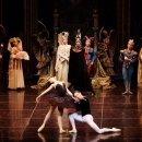 유니버설발레단 <백조의 호수> 이미지