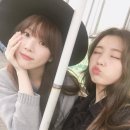 서혜린 카카오 검색결과