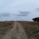 염포시장(신전시장) 이미지