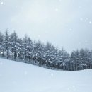 광명목장 이미지