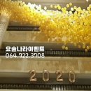 제주파티앤벌륜 네이버블로그