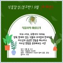 [연속]12.9(금)식물감성 정규반(아라우카리아)_오전10시_성인 대상 이미지