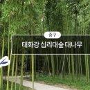 장생포고래로L 이미지