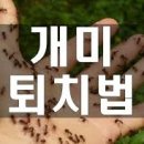 개미주유소 이미지