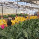 (주)아이들팜 이미지