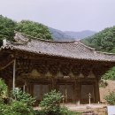 정혜사 Daum카페