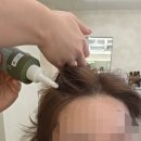 토토미용실 - 의정부시 회룡로192번길 33-8 | 성신여대미용실추천 위아르보 성신여대1호점 두피클리닉 후기
