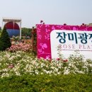 인화광장 이미지