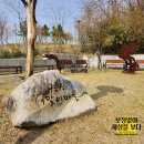 대구와 대마도 서로 다른 매력의 나의 최애 봄데이트