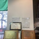 준골프 | 광주 골프샵에서 젝시오 13 여성 골프채 풀세트 선물해준 후기