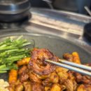 곱분이곱창 | 동탄곱창집 곱분이곱창 매장에서 먹은 후기