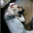 어서타개 이미지