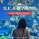 블루탱스튜디오 | 싱가포르 여행 센토사 가볼만한곳 아쿠아리움 입장권 티켓 할인