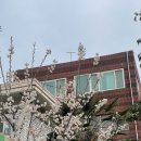 [3.18-24] 노랭이의 일주일