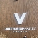 스카리아 이미지