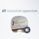 THE DOG SALON 이미지