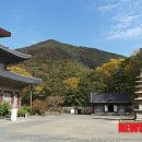 무량사 - 1182 | 무량사
