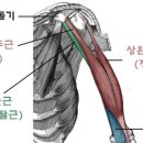 현피티샵 이미지